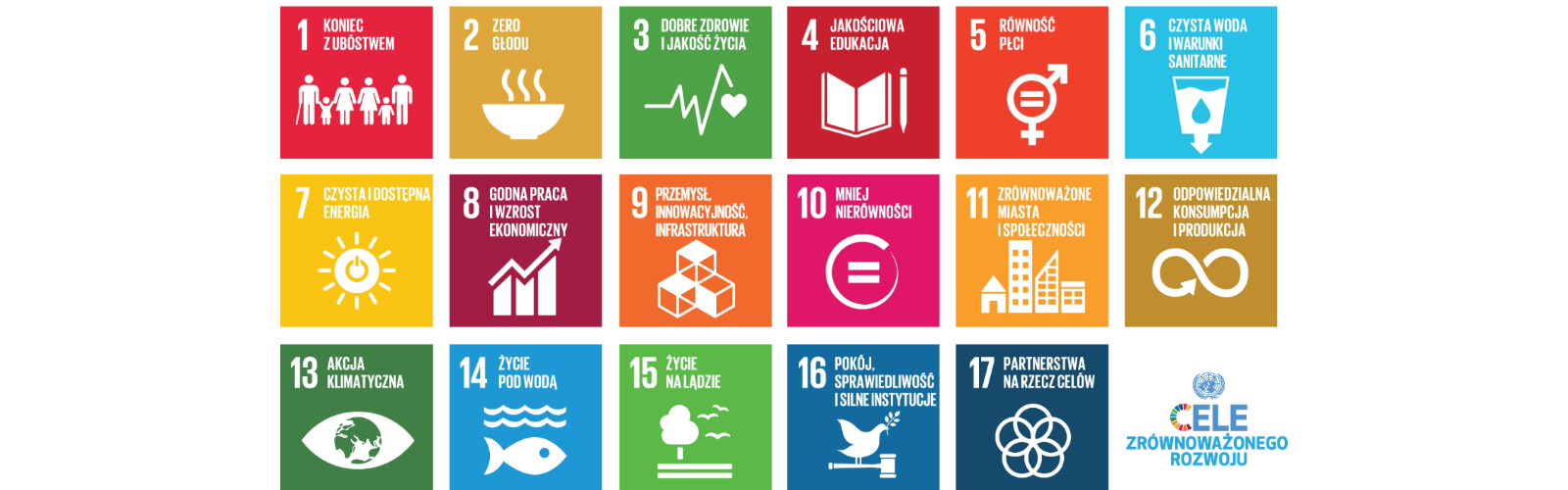 Cele Zrównoważonego Rozwoju (SDG)